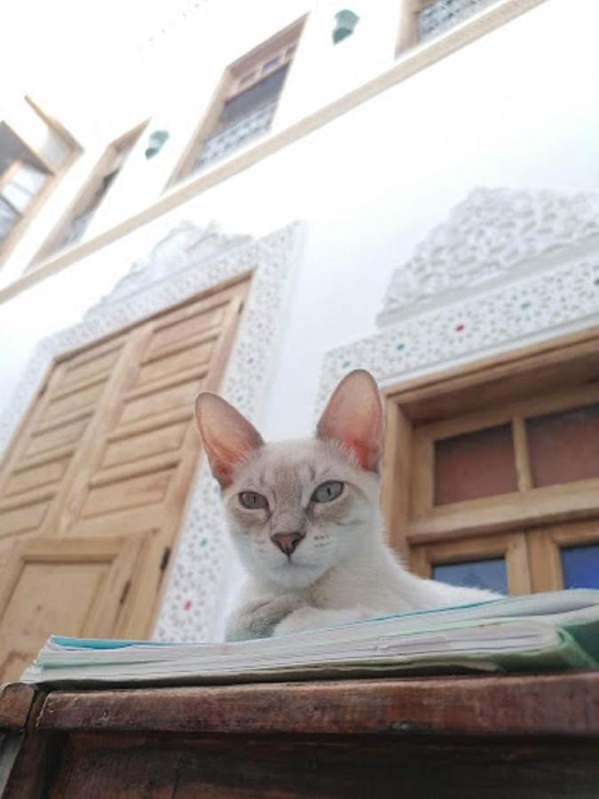 A Pousada Sendis Dar Fez Exterior foto